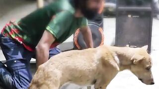 Funy Video 7