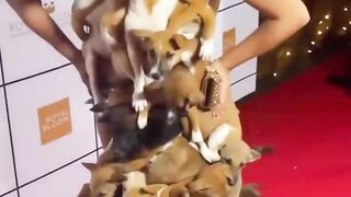 Funny Video 16 2