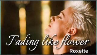 Roxette 4