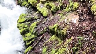 Beautiful nature 365