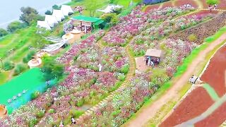 Beautiful View 59