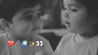 Funny Video 566