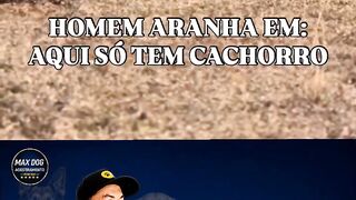 Homem aranha 7