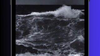 KAMERA DI SIRIP HIU?! 😳🦈