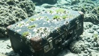 A Diver Found an Old Underwater Suitcase… What Was Inside?