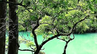 🔥 DON'T MISS THIS VIDEO! YOUR FUTURE COULD CHANGE, AND YOU WILL NEVER REGRET IT! 🔥🔥🔥 28