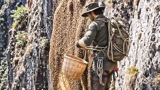 He Found a Hidden Beehive Deep in the Wild 🍯🐝 | WildHoneyX