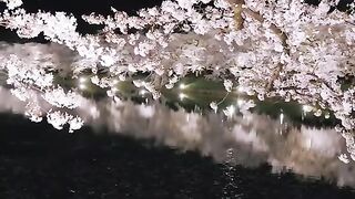 Keindahan alam Negeri Sakura Japan Hirosaki
