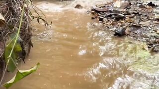 Traditional methods of catching fish in rivers