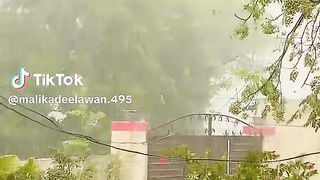 malikadeelawan