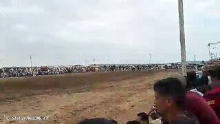 : Fantasia Horse Show - Traditional Algerian Tabourida in El Ghomri, Oran - Crowd Watching Synchronized Gunpowder Charge