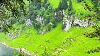 Nature 353