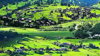 Beauty of nature 73