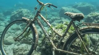 Giant Lobster Discovers a Lost Diving Bell Underwater!