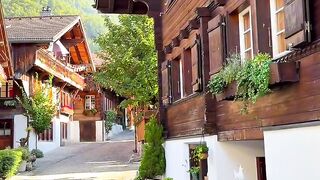 Swiss View 3
