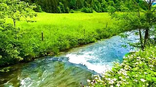 syifa_in_switzerland