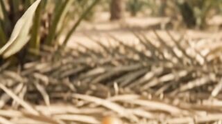 “One date → One new palm! 🤎➡️🌱🌴♻️”