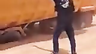 Tik Tok Video 210
