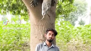 Tik Tok Video 224