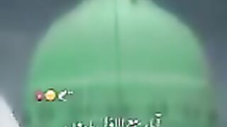 Tik Tok Video 231