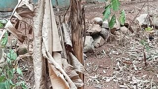 Snake vs frog