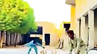 Tik Tok Video 244