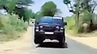 Tik Tok Video 245