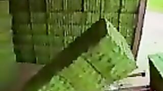 Tik Tok Video 248