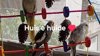 Huis e huide ♥️ 26