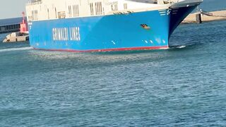 How the Roro passenger vessel manage to docking