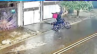 Bizarre News #BizarreNews #Viral 813