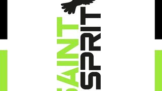 LOGO SAINT ESPRIT