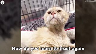 Aggressive and full of hate - he completely melted after his first gentle touch