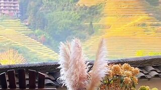 Keindahan alam Negeri Dongeng Di Desa Miao Guizhou
