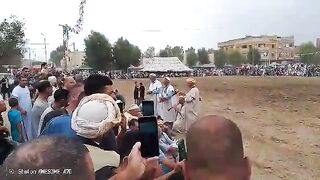Algerian Fantasia Festival El Ghomri Mascara 2026 - Tbourida Baroud Horse Show