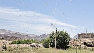 My farm in Yemen 🤗