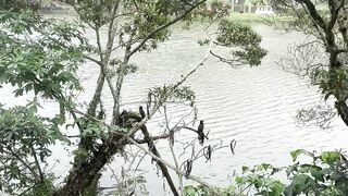 Esse lugar se chama Miguel Pereira Rio de Janeiro