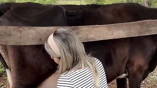 Getting Fresh Milk 🐂