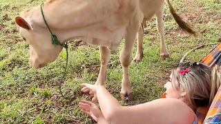He likes me 🐂