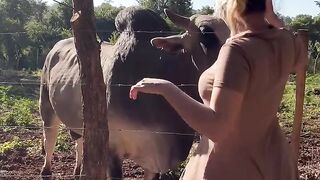 Visiting 🐂