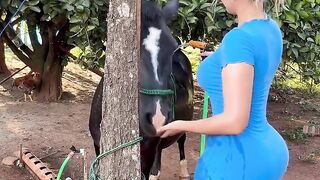 Bathing my Pet 🐂