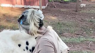 My Sweet Pet 🐄