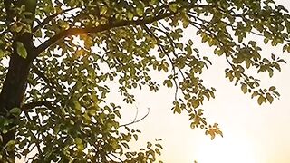 Quran majeed Islamic video 9