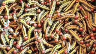 Who knows the name of this