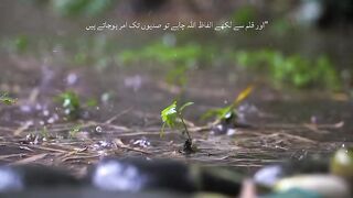 Words That Live Forever 🕊️📖