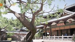 A Splendid Match | EP11----絕妙良緣 | 第11集
