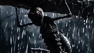 Meus bichinhos
