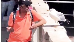 Tá doido o homem