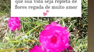 Mensagens positivas