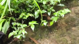 A Small Stream with Clear Water
